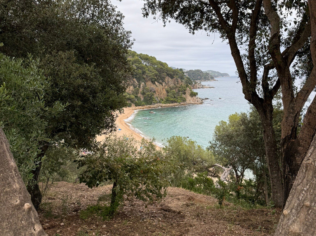 Playa de Santa Cristina-犹兰特德玛必去景点