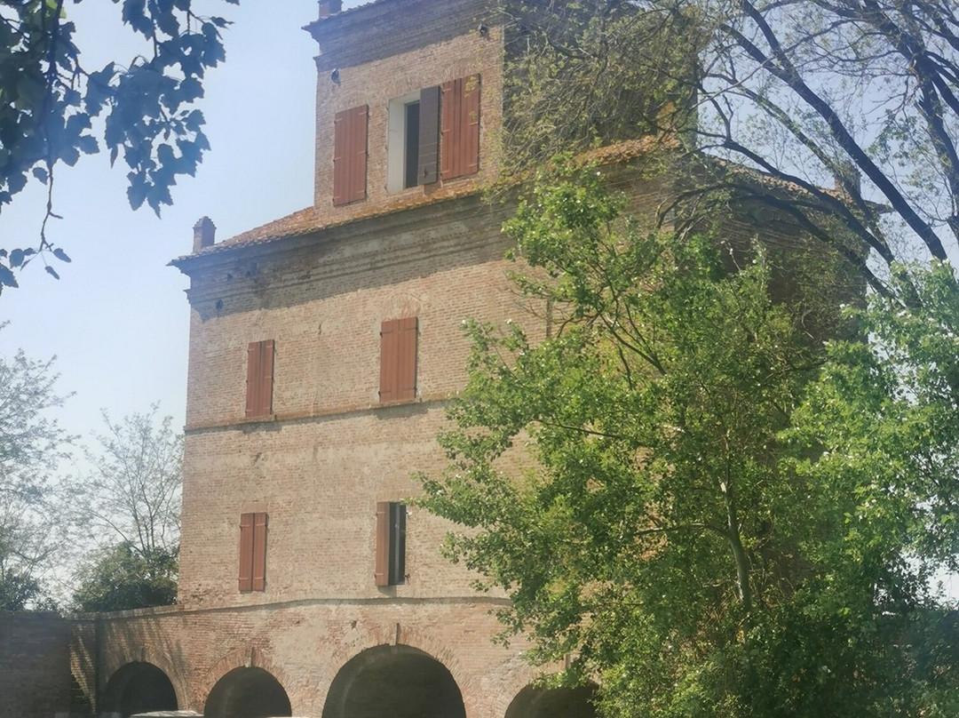 Oasi Naturale di Torre Abate-Mesola必去景点