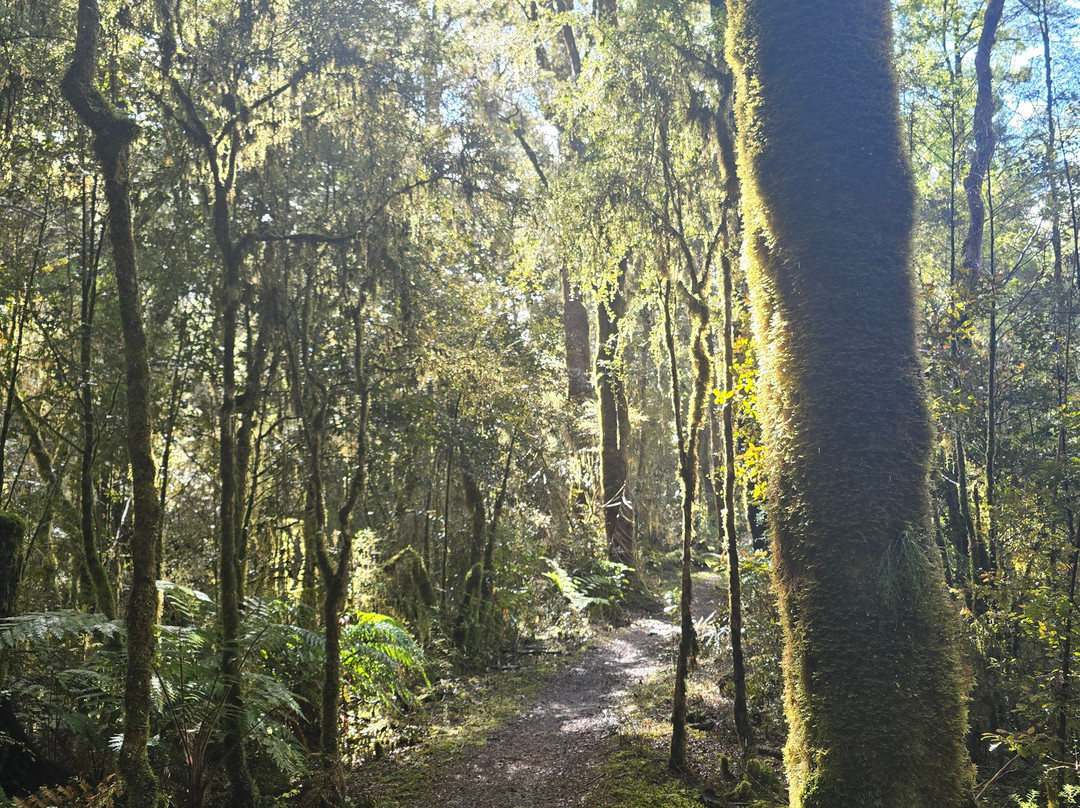The Old Ghost Road-韦斯特波特必去景点