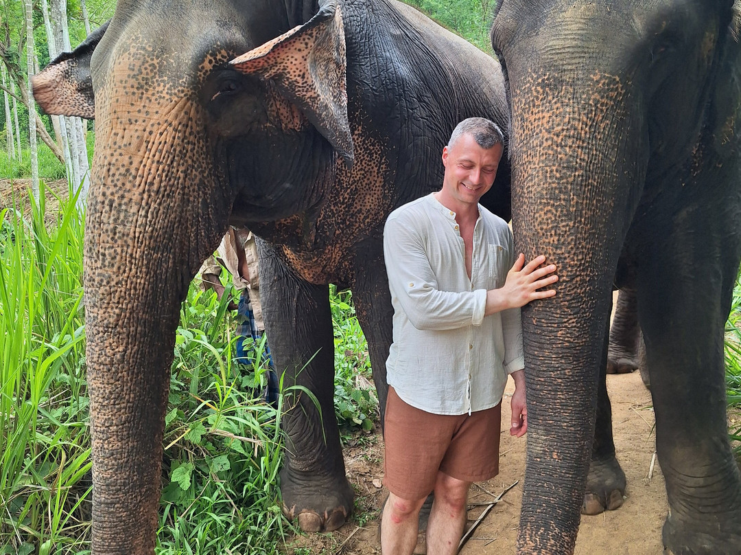 Elephant Freedom Project-凯格勒 必去景点