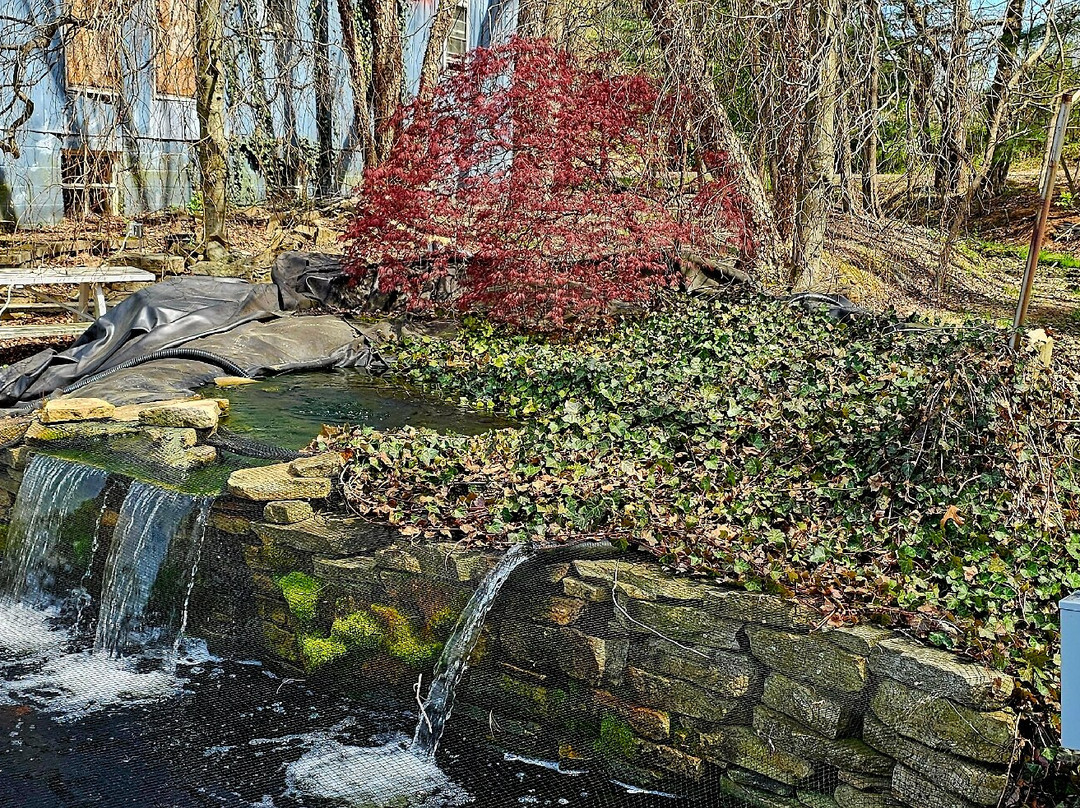 Hemphill's Garden & Aquatic Center-Fallston必去景点