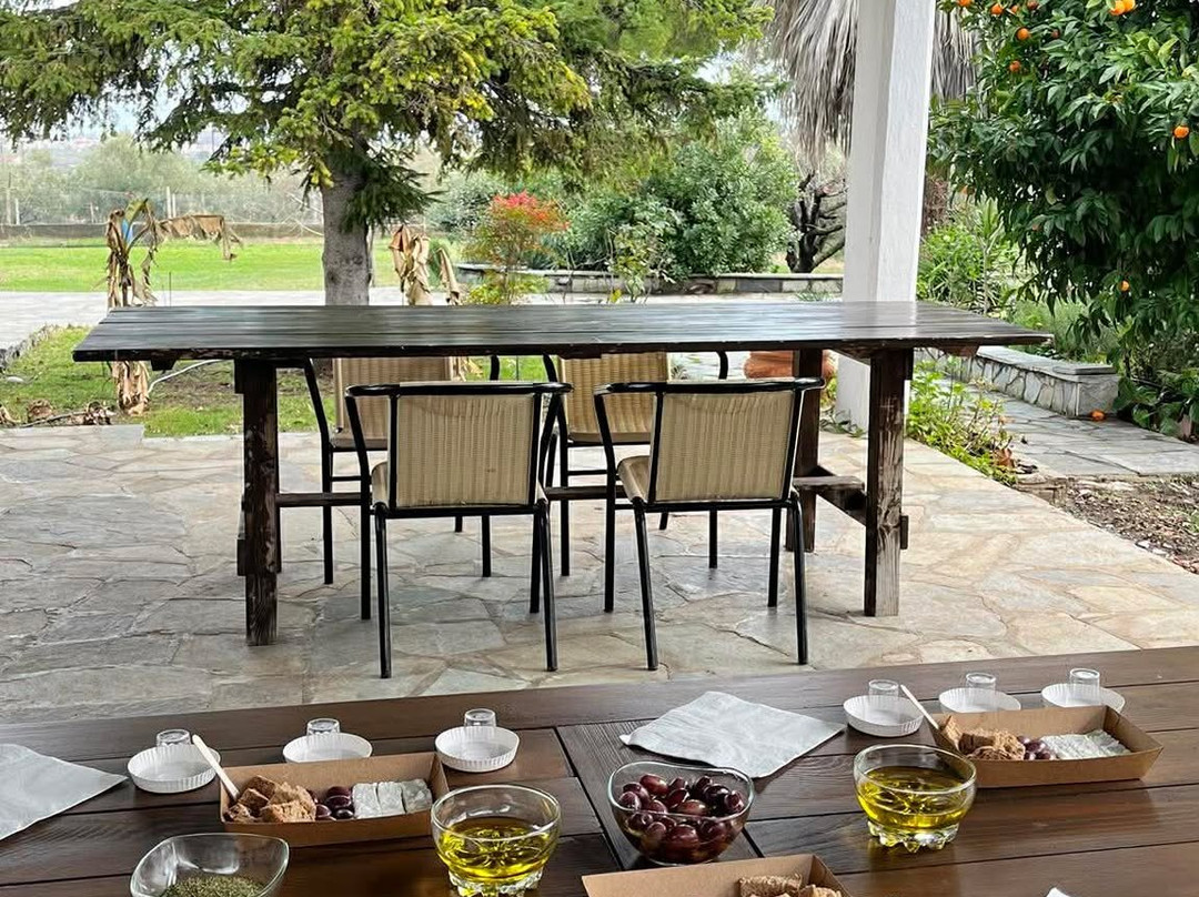 Forelia Olive Oil Tasting Experience-Leptokarya必去景点