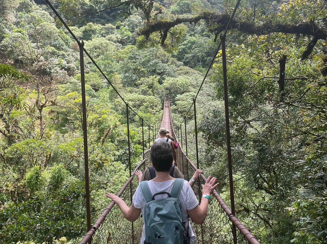 Tree Trek Boquete-波魁特必去景点