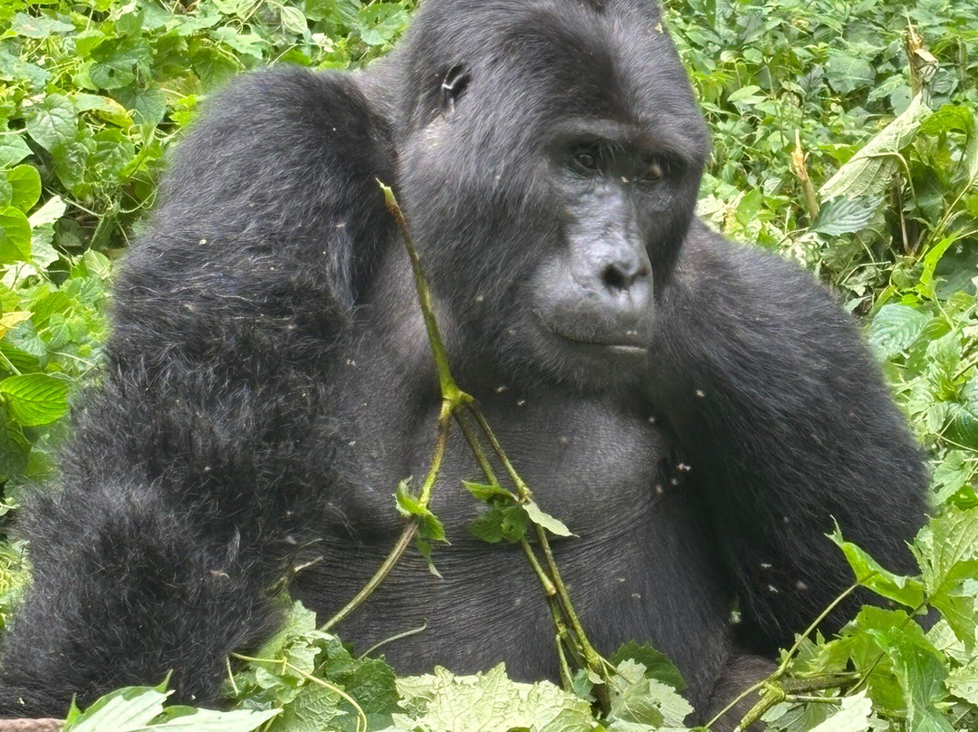 Signature African Safaris-坎帕拉必去景点