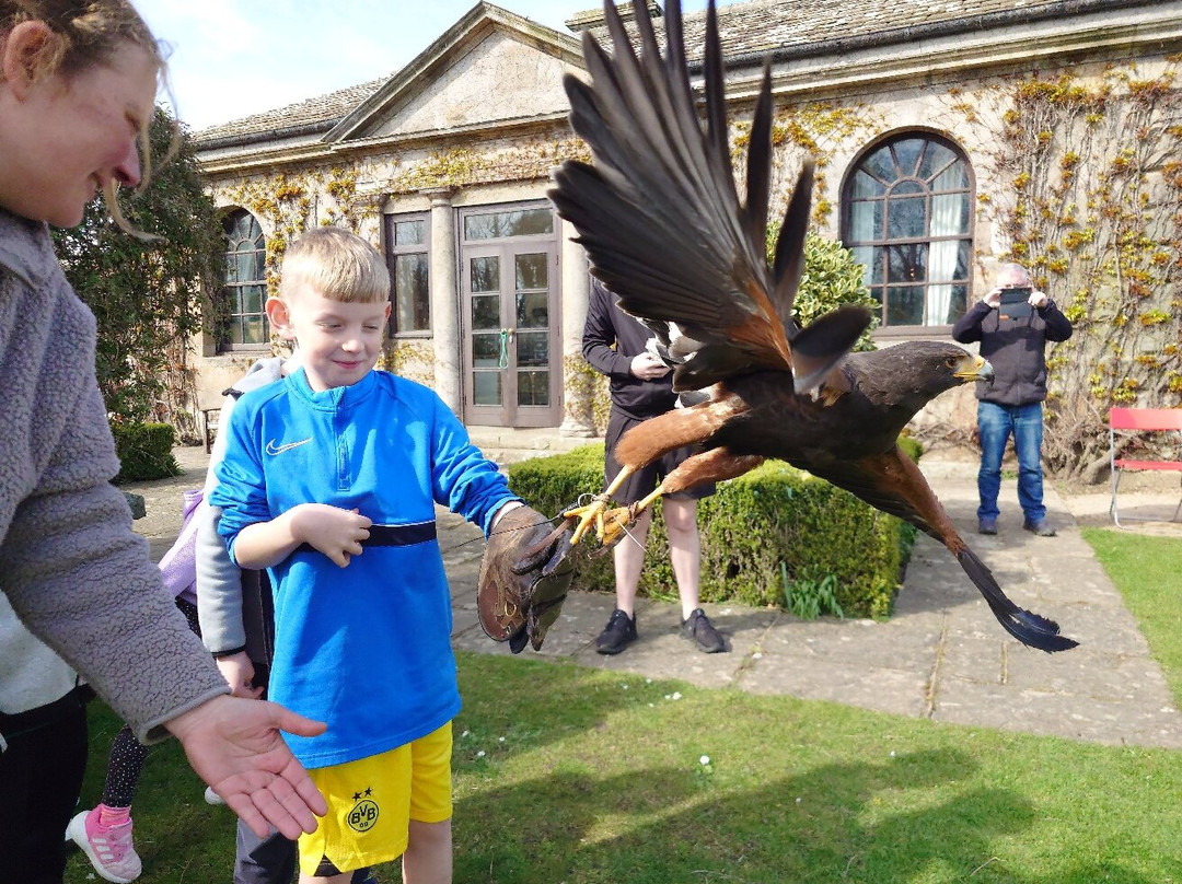 Andy Howeys Birds of Prey Centre-特威德河畔贝里克必去景点