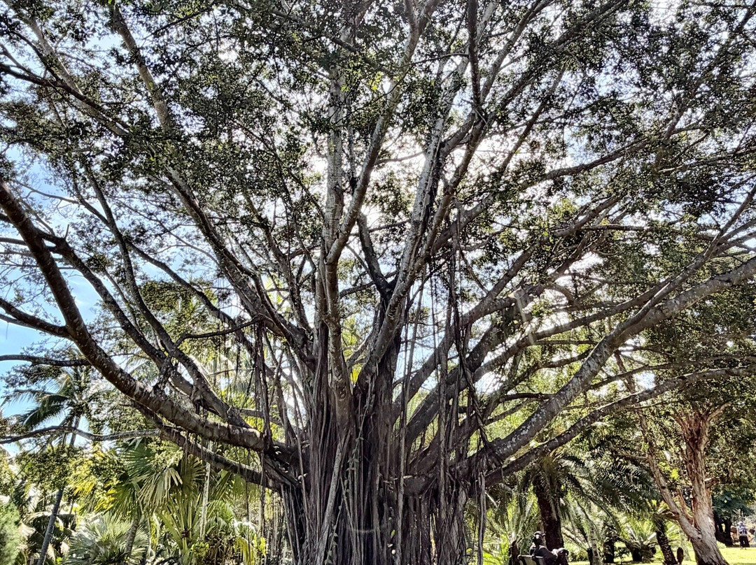 Na Aina Kai Botanical Gardens-基拉韦厄必去景点