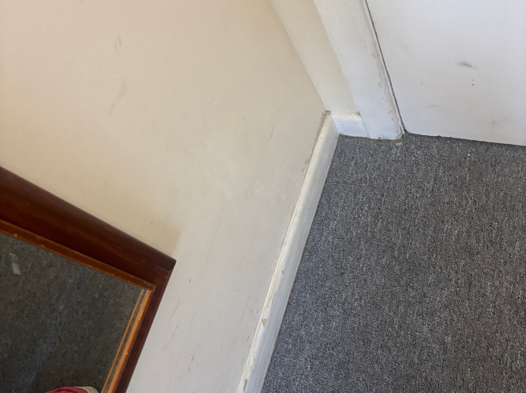 卡林顿豪斯酒店主图