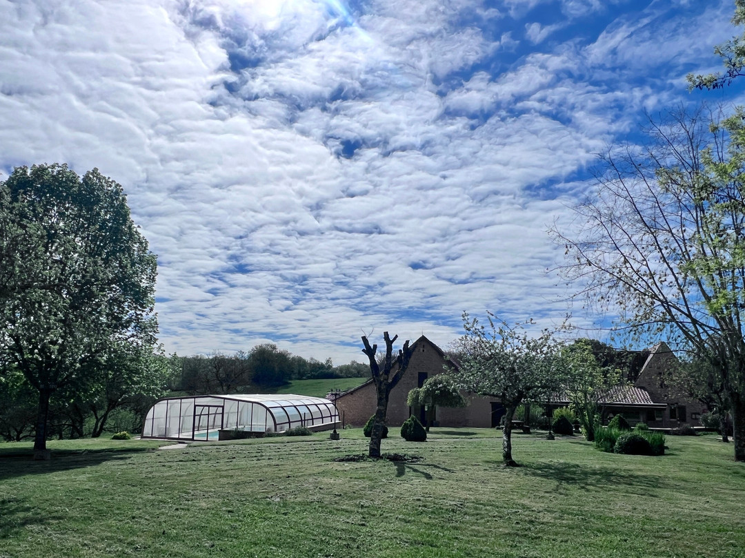 多梅因罗尼酒店主图