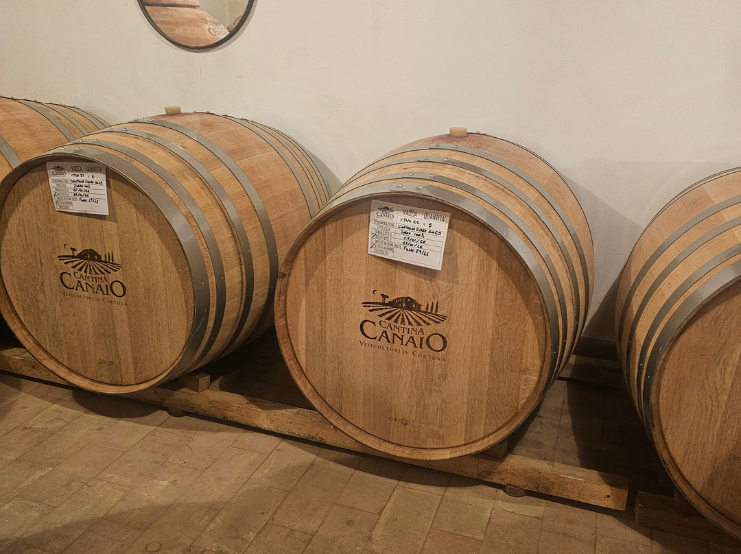 Cantina Canaio-科尔托纳必去景点