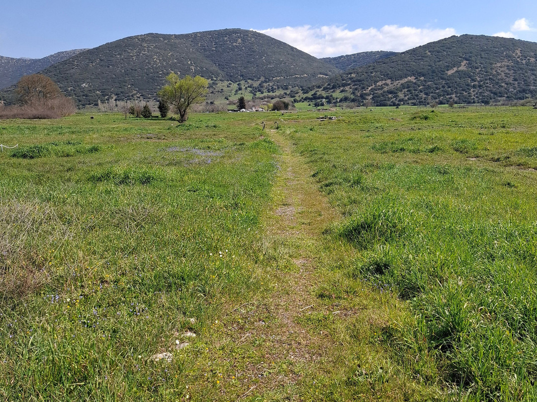 Ancient Mantineia-Mantineia必去景点