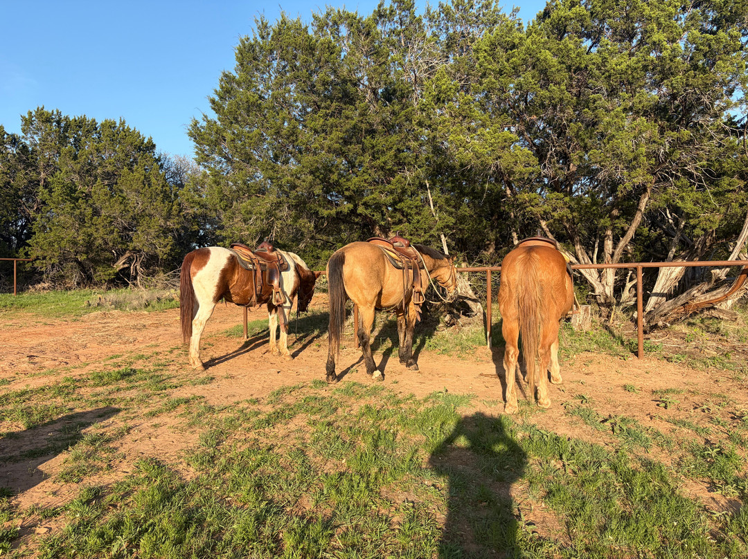 Wildcatter Ranch主图