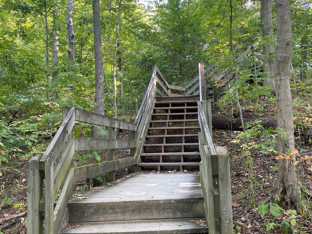 Cincinnati Nature Center-Milford必去景点
