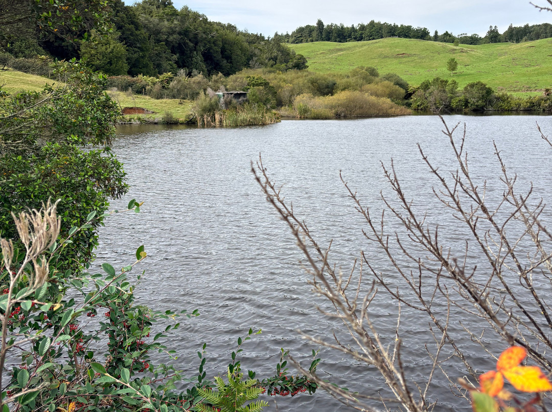 Real  Native  -  Walking Retreat-Te Awamutu必去景点