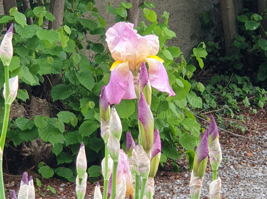 Giardino delle Essenze-Lagnasco必去景点