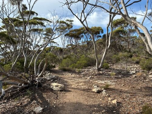 Lincoln National Park-Port Lincoln必去景点