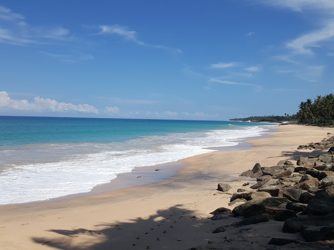 Ceylon Asanka Tours