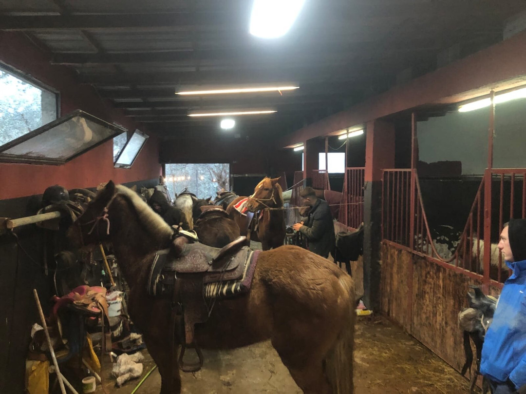 Horse Farm Santo-Elbasan必去景点