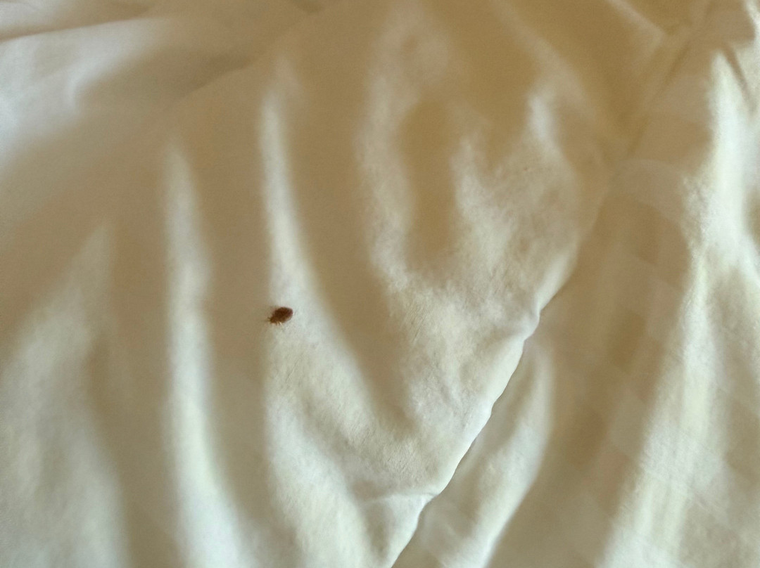 Fairfield Inn & Suites Princeton主图