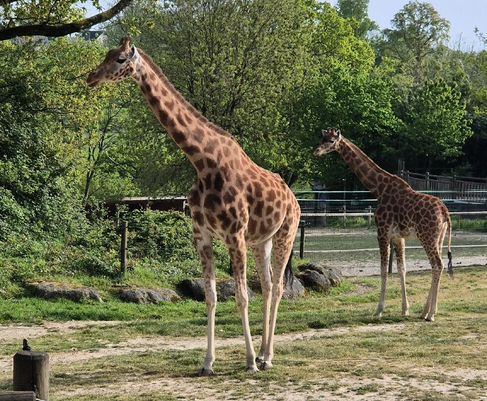Zoo De Champrepus-Champrepus必去景点