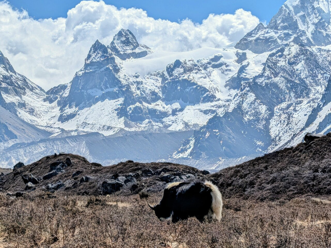 Himalaya Darshan Treks Pvt. Ltd-加德满都必去景点