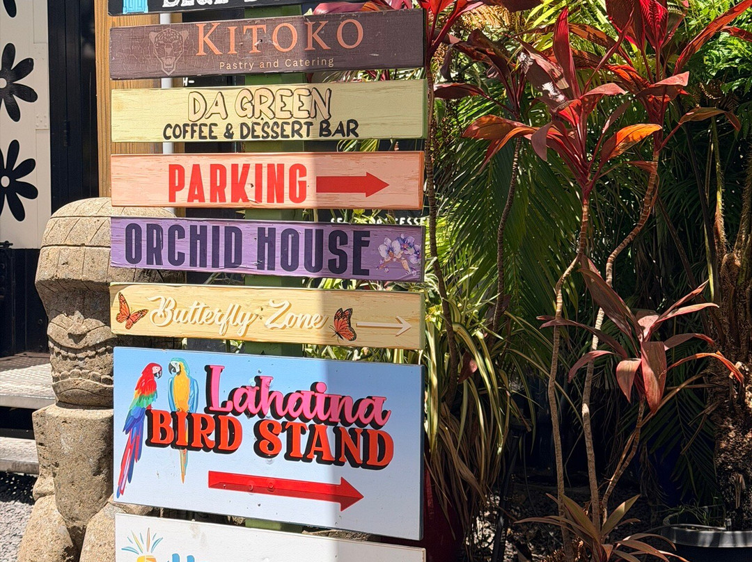 South Maui Gardens-基黑必去景点