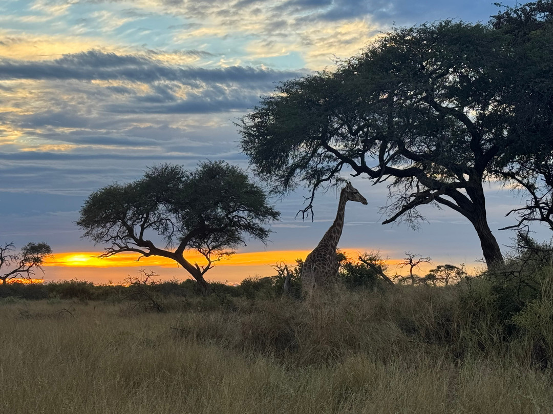 Africa's Best Adventures-开普敦必去景点