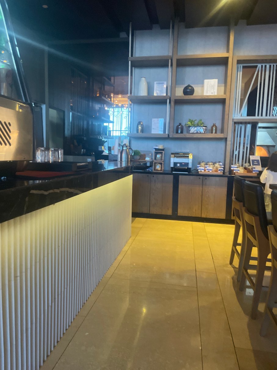 瓜达拉哈拉市中心希尔顿酒店-旅行者