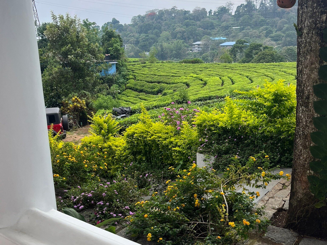 采茶机酒店主图