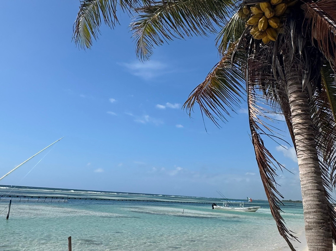 Playa Mahahual-Mahahual必去景点