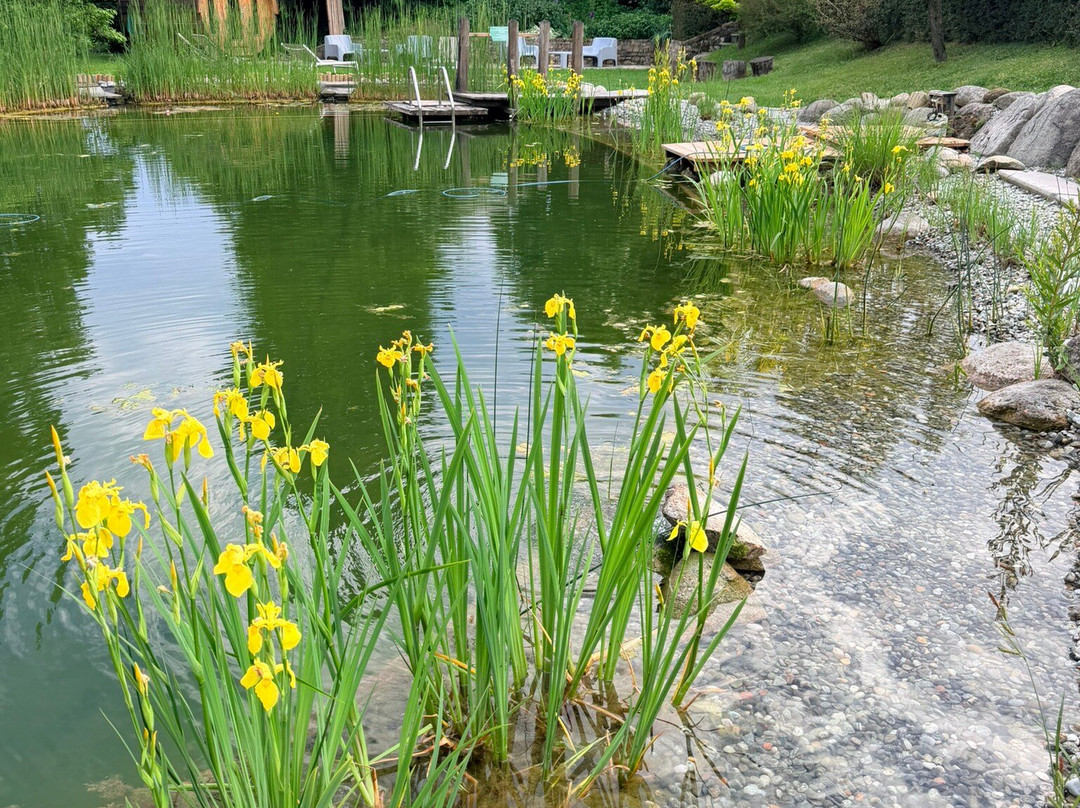 Cascina Rodiani - Green Hospitality主图