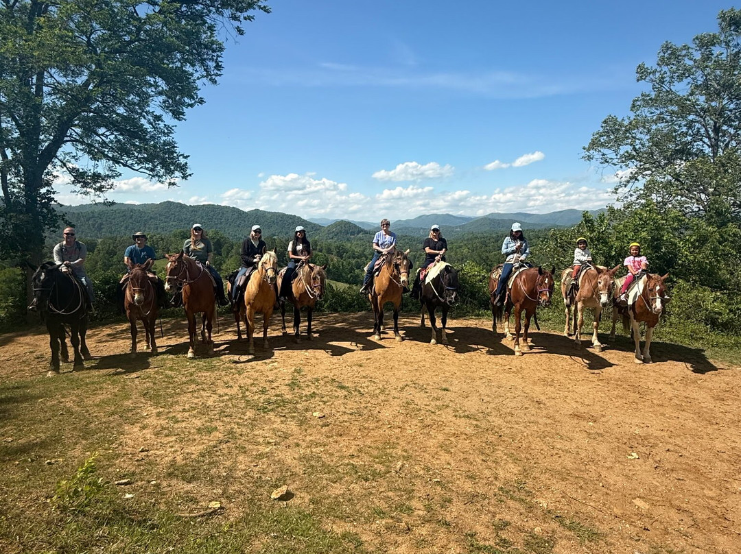 Sandy Bottom Trail Rides-Marshall必去景点