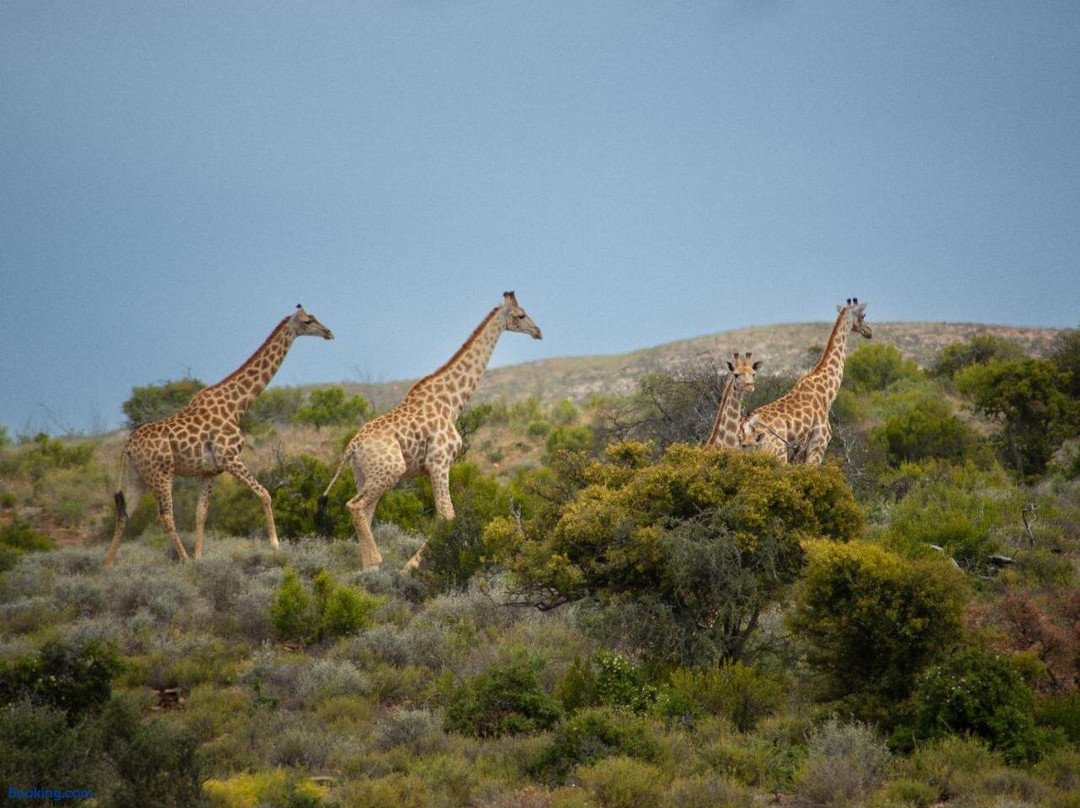 Elandspoort Private Nature Reserve