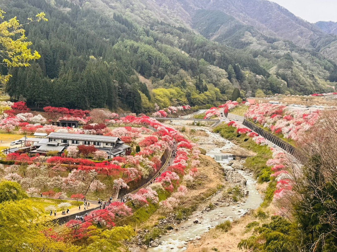Hanamachi no Sato-阿智村必去景点