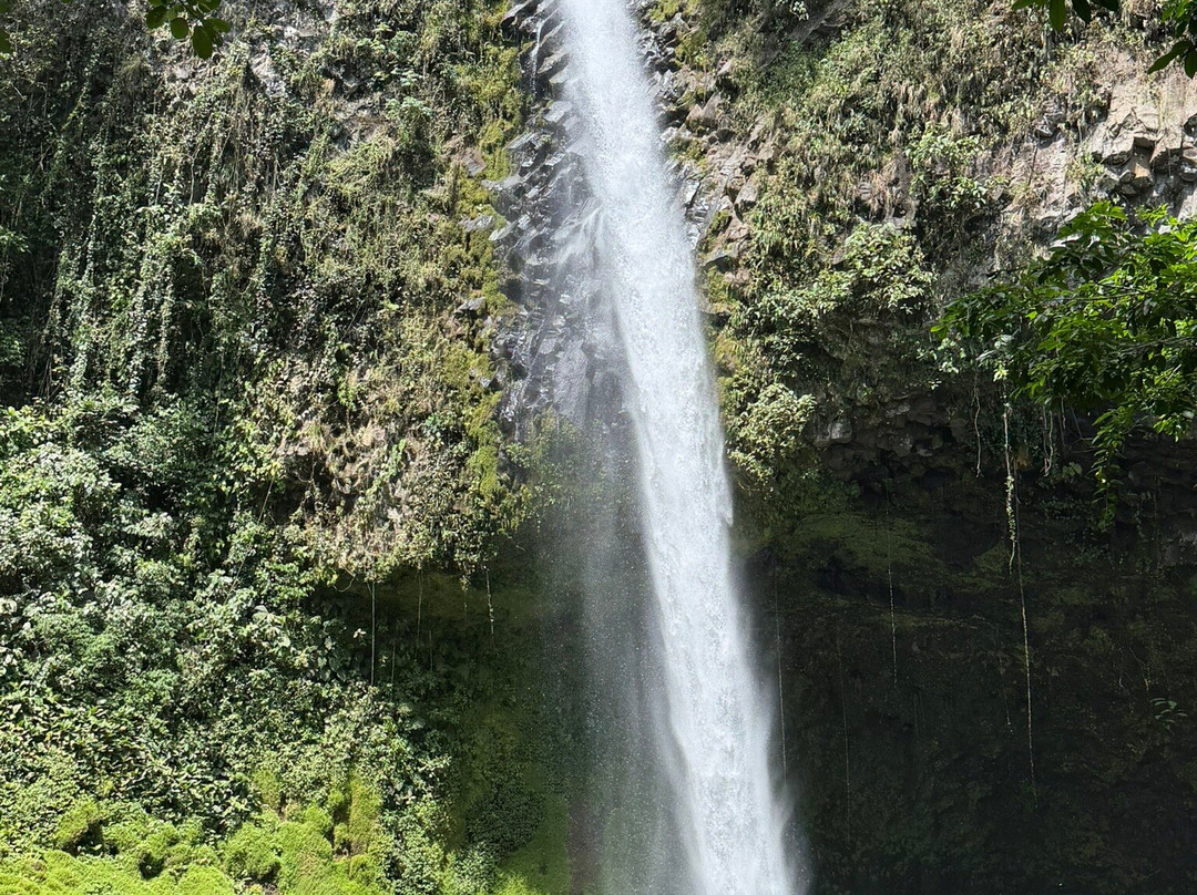 查查古亚雨林旅馆及温泉主图