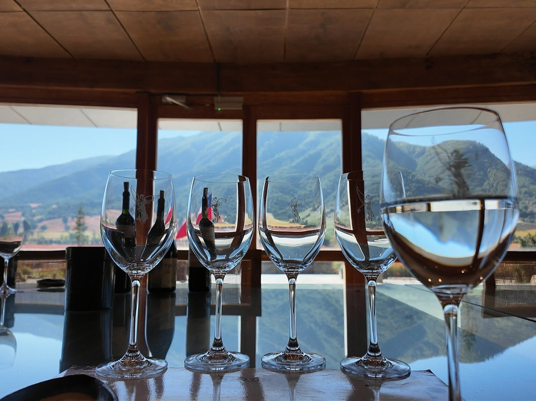 Colchagua Wine Tours-圣克鲁斯必去景点