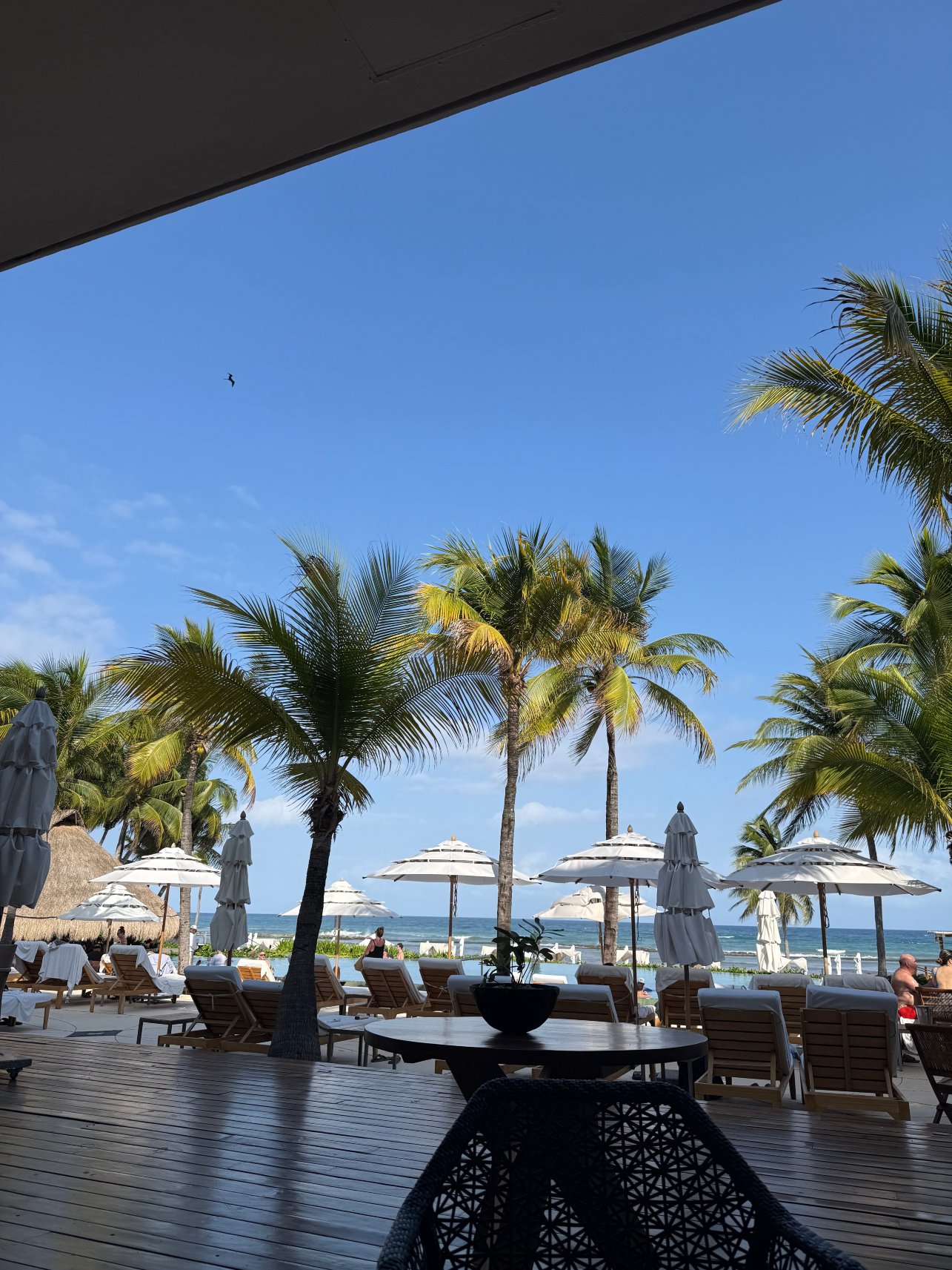 玛雅里维埃拉大酒店（全包）-旅行者