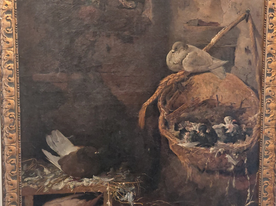 Museo de Arte Doña Pakyta-阿尔梅里亚省必去景点