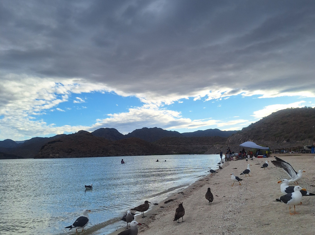 Playa Santispac-Mulege必去景点