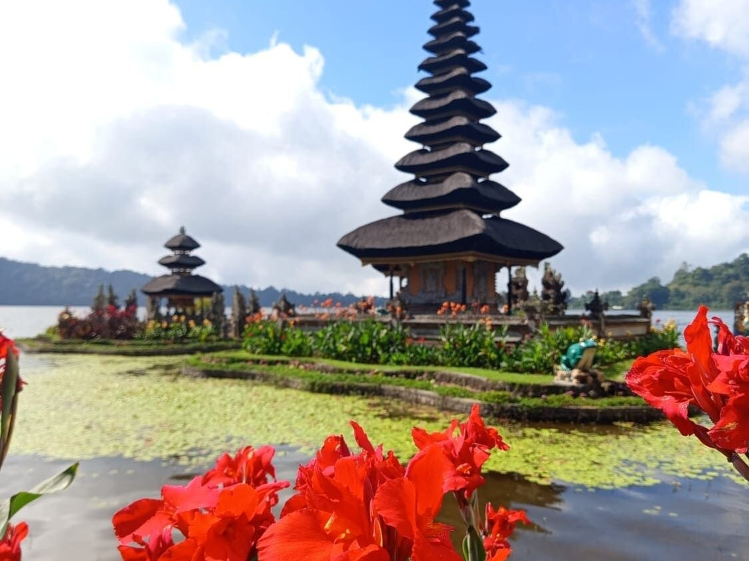 Munduk Luwih Tour-Wanagiri必去景点