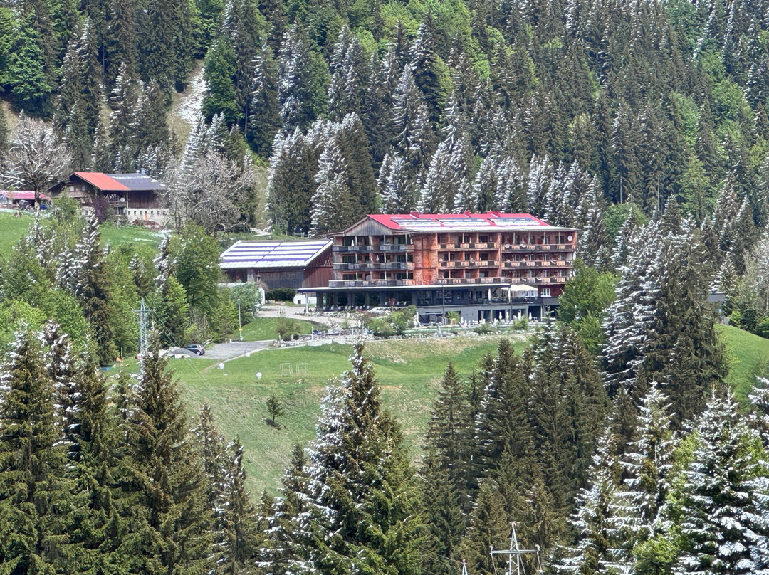 Ruhehotel & Naturresort Rehbach - Adults Only主图