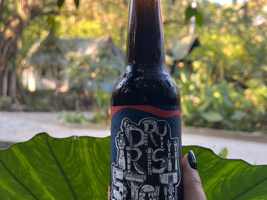 Cervecería James-Xilitla必去景点