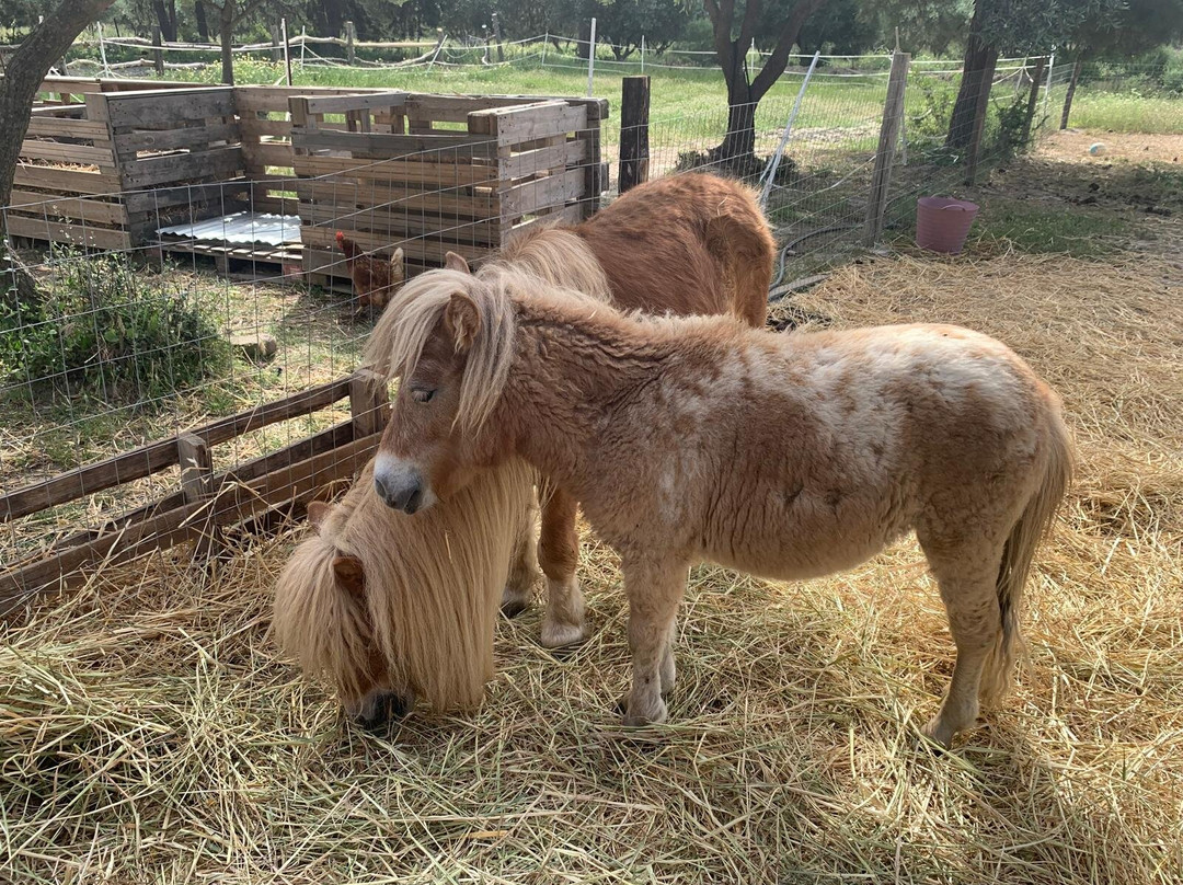Rocking Horse Ranch-Gennadi必去景点