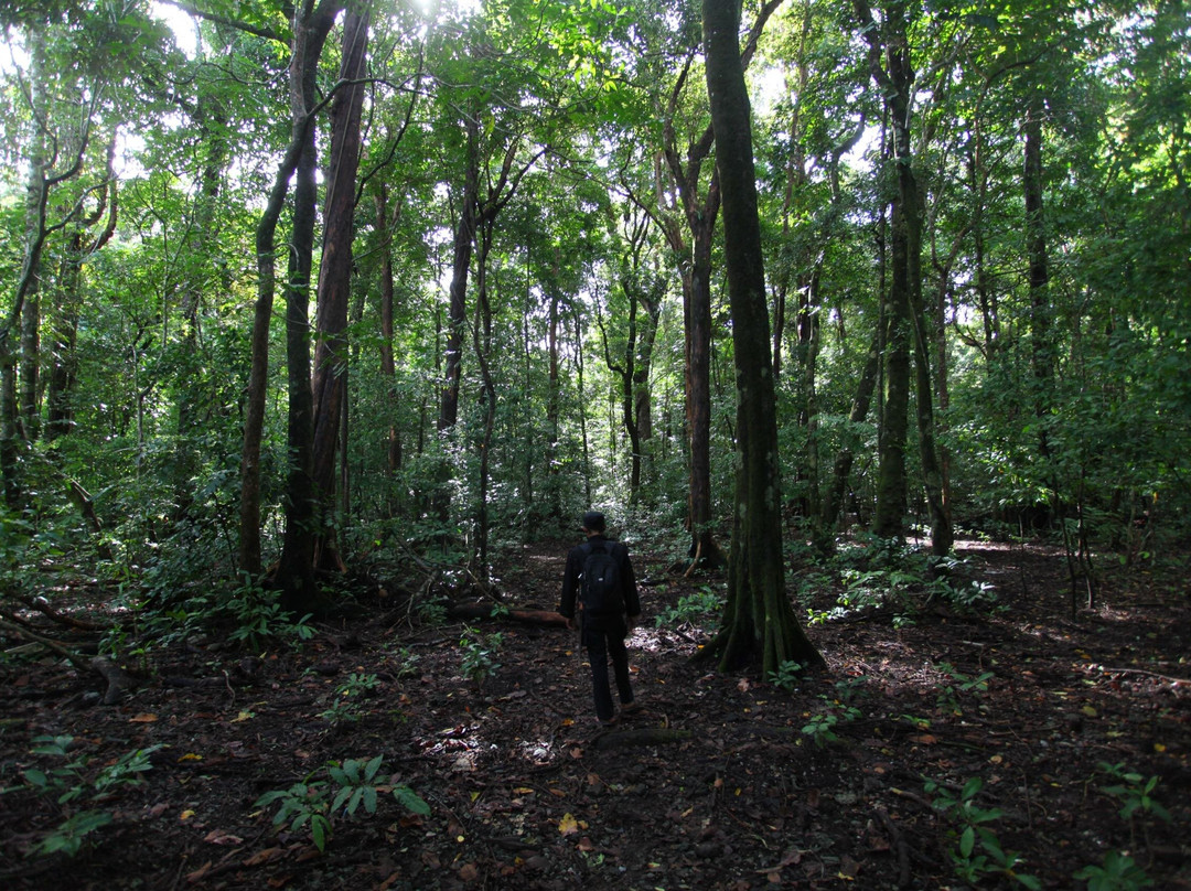 Ujung Kulon Trek-Carita必去景点