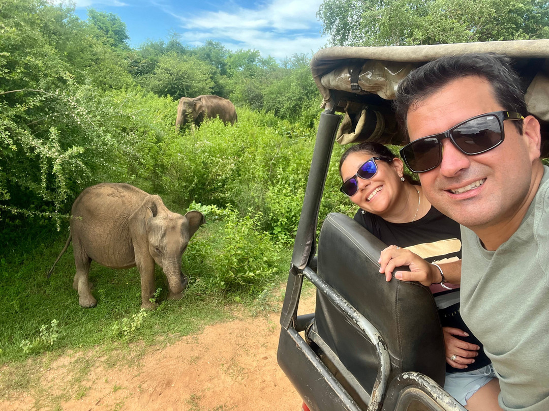 Sri Lanka Wide Tours-科伦坡必去景点