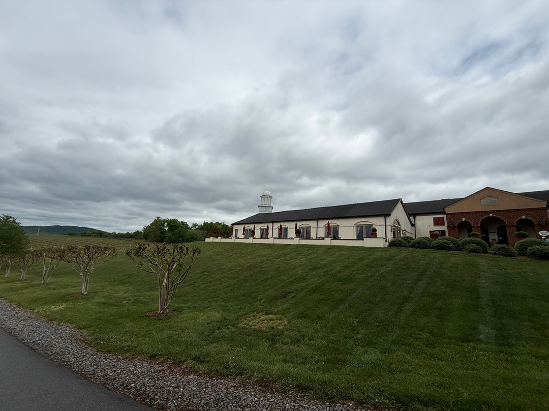 Barboursville Vineyards and Historic Ruins-Barboursville必去景点