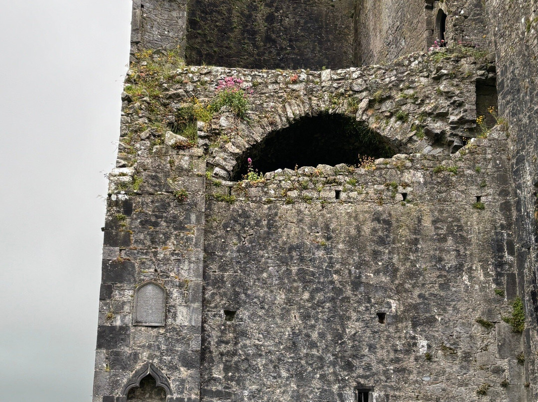 Rock Of Cashel-Cashel必去景点