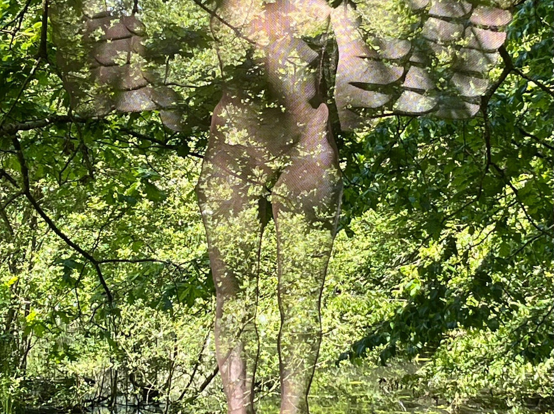 Hannah Peschar Sculpture Garden-Ockley必去景点