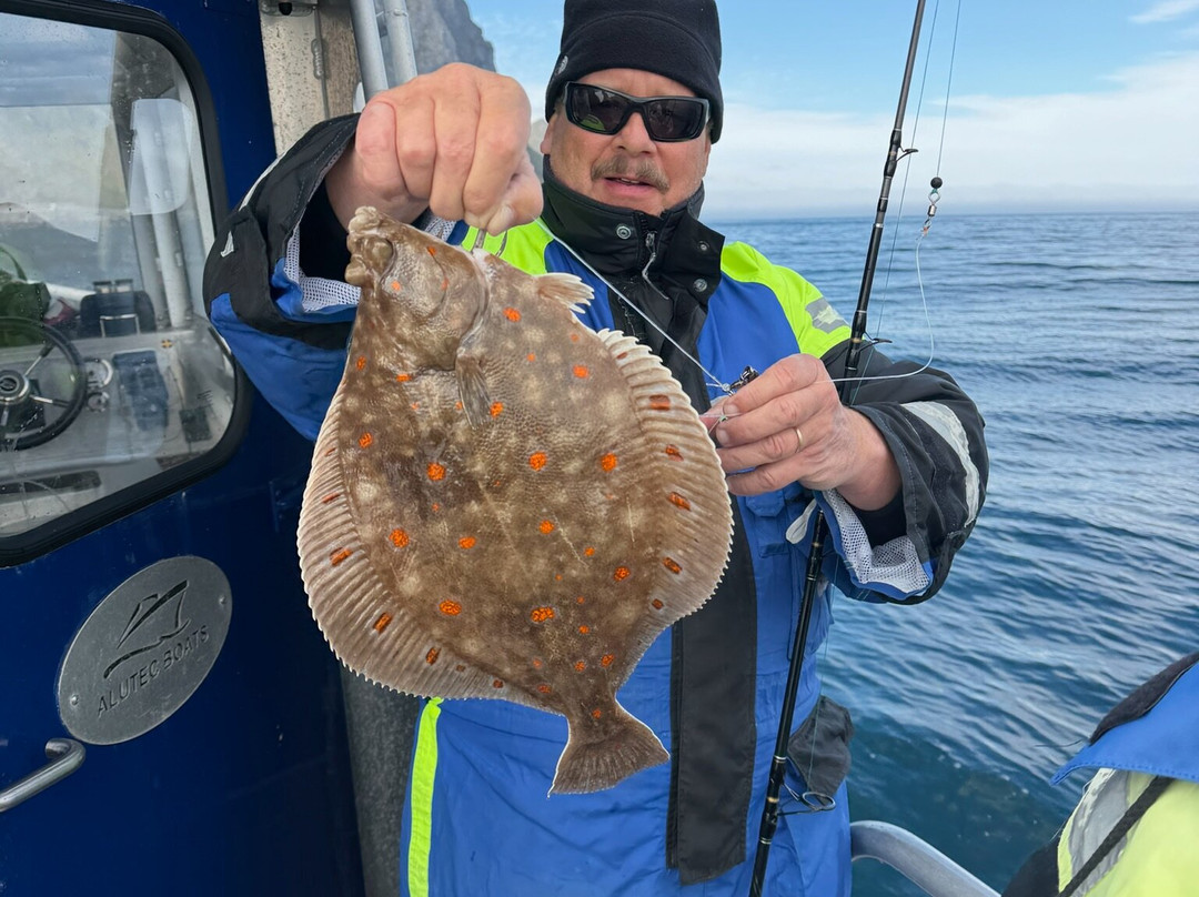 Arctic Spearfishing & guided fishing-Ballstad必去景点