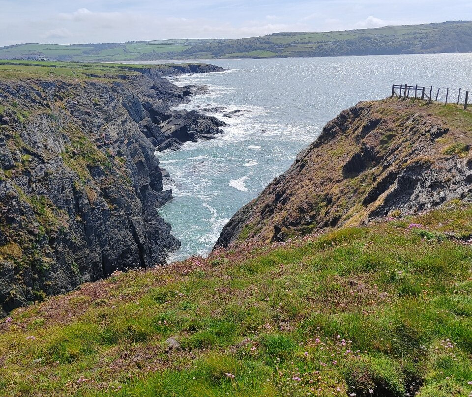 Cardigan Island Coastal Farm Park-Cardigan必去景点
