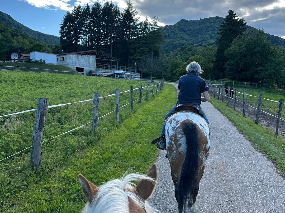 ASD Easy Ranch-Pozzoleone必去景点